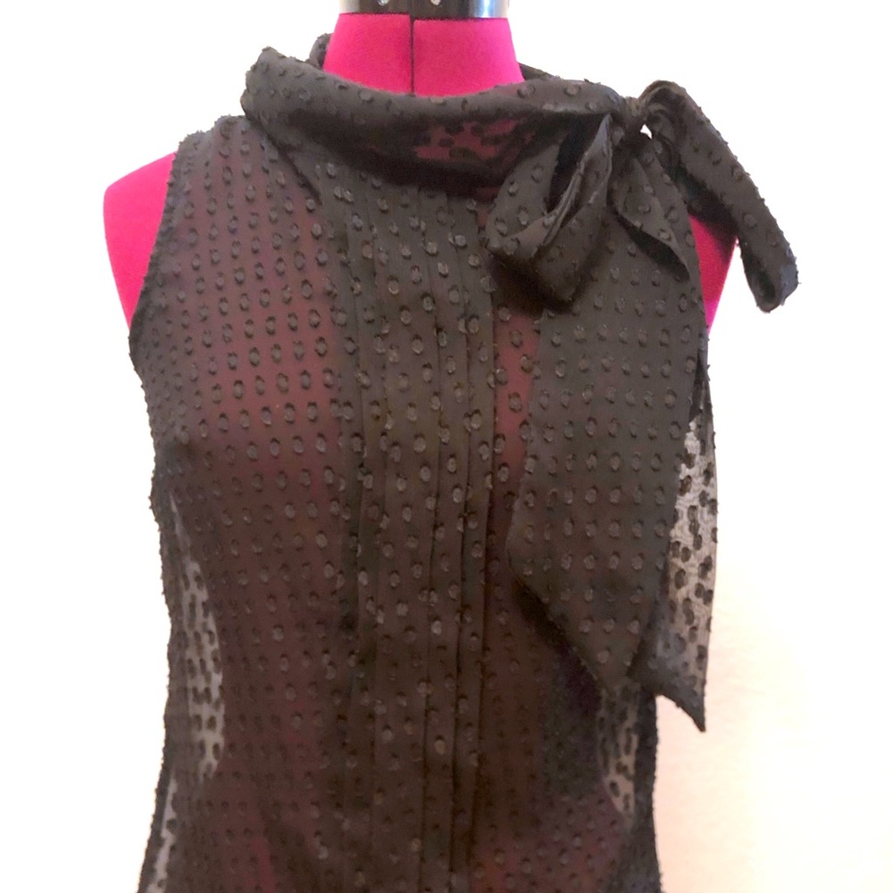 Banana Republic black Swiss dot chiffon blouse top